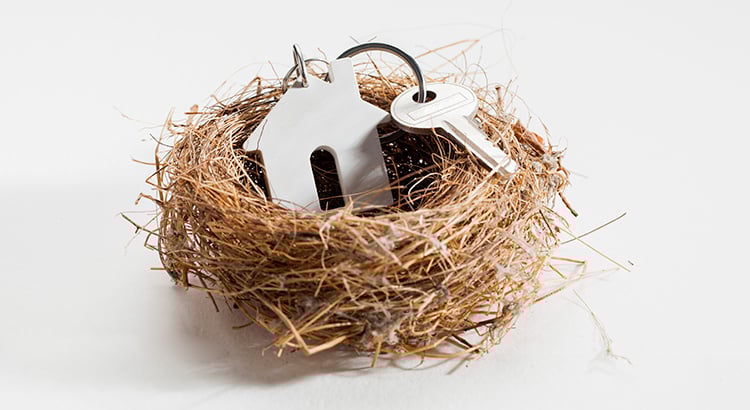 nest with a house key ring and a key