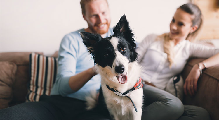 man with dog