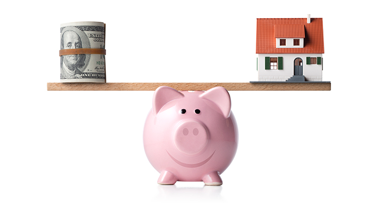 pigg bank balacing house and money