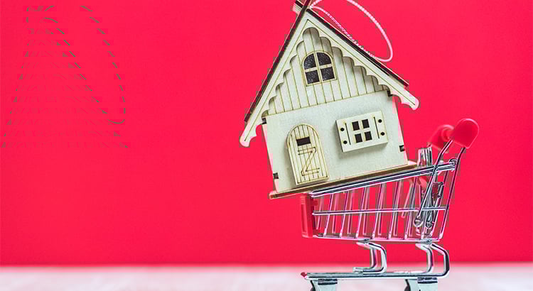 house in a shopping cart